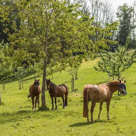 Hof Wagenberg 2 Апартаменты Деггенхаузерталь